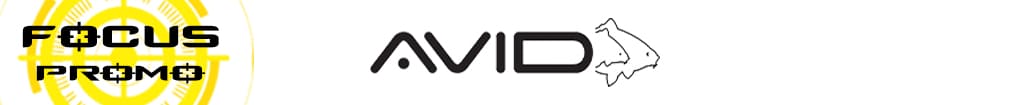Focus Promo Avid