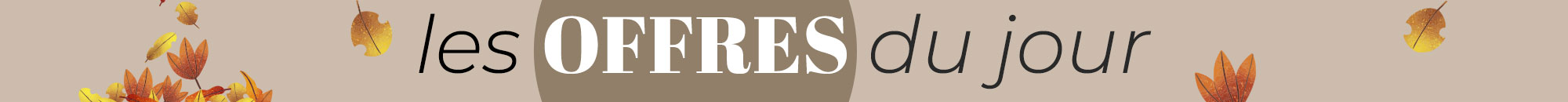 Offres du jour - Remises exclusives sur le matériel de pêche à la carpe