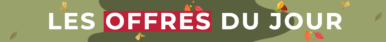 Offres du jour - Remises exclusives sur le matériel de pêche à la carpe