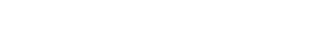VF Vetements