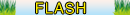 Flash Sales