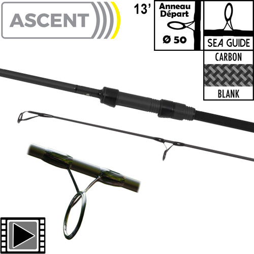 Canne Avid Carp Ascent 50mm 13' 3.5lbs Full Shrink