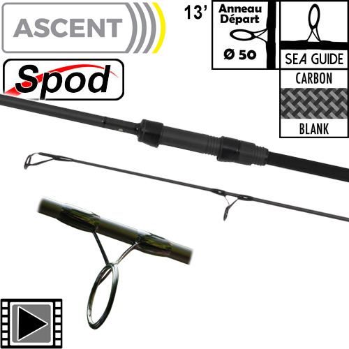 Canne Avid Carp Ascent Spod 50mm 13' 5.5lbs Full Shrink