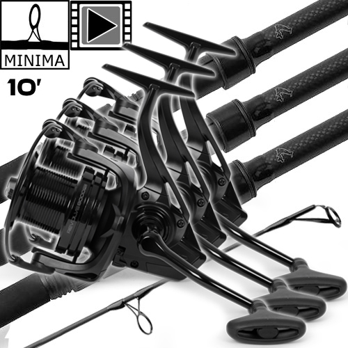 Ensemble Avid Carp Revolve 10' 3.5lbs 8000 FD (les 3)