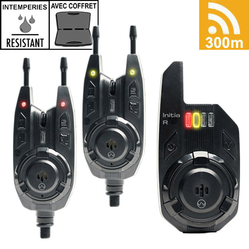 Coffret Prowess Centrale 2 Détecteurs Initia