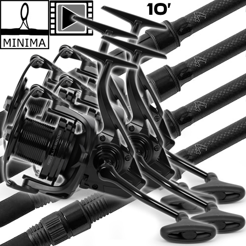 Ensemble Avid Carp Revolve 10' 3.5lbs 8000 FD (les 4)