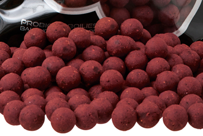 Bouillettes Starbaits Probiotic Strawberry & Spice 14mm 800g - description 01