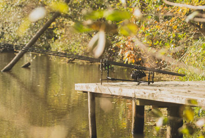 Rod Pod Solar A1 Bankware Ground Pod 3 Cannes -Fox || PROLOGIC Soldes Magasin 1ce5ce0174347bb4e54168d398c9724dba3ebb74 205242AMB4