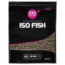 boilies-mainline-iso-fish-20mm-5kg