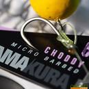 hamecon-korda-kamakura-choddy-par-10