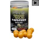 bouillettes-starbaits-probiotic-ginger-squid-hard-baits-20mm-200g