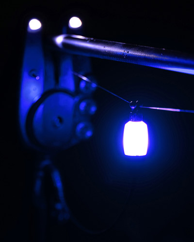 Hanger Fox Black Label Dinky Halo Bobbin - description 06