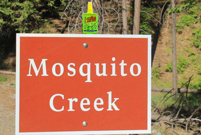 Spray Anti Moustique Chronocarpe Bushman 90ml - description 05