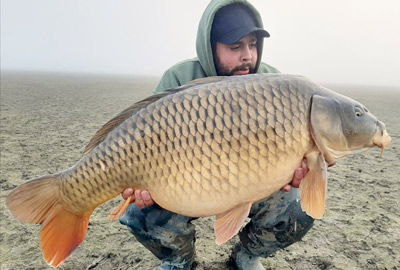 Pop Ups Starbaits Omega Fish 14mm 80g -DYNAMITE BAITS 6b0ba594813d3fdee2d142e3b4fb7f7f702a3823 240023amb1