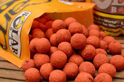 Bouillettes Solar Club Mix (Squid & Octopus) 20mm 1kg -DYNAMITE BAITS 6b5fb6d87292be81d25f47648d90ee58d547dfd1 SC81AMB4