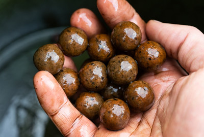 Attractant Dynamite Baits Peppered Squid 500ml - description 02