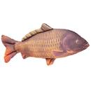 kissen-extra-carp-filex-carp-pillow-65-cm