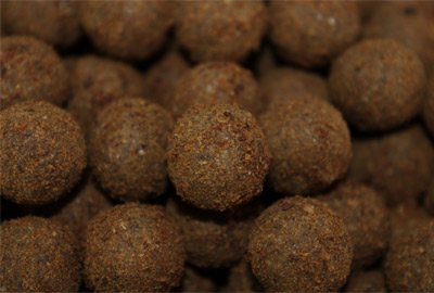 Pack Appâts Pro Elite Baits Gold Tuna Spirulina 2 Pack Appâts Pro Elite Baits Gold Tuna Spirulina -DYNAMITE BAITS 73cc3825465e12ad61e1ab506a9511e657a30498 243467amb1