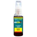 booster-big-carp-boost-attract-100ml-maple-spice