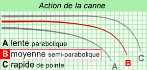 Canne
