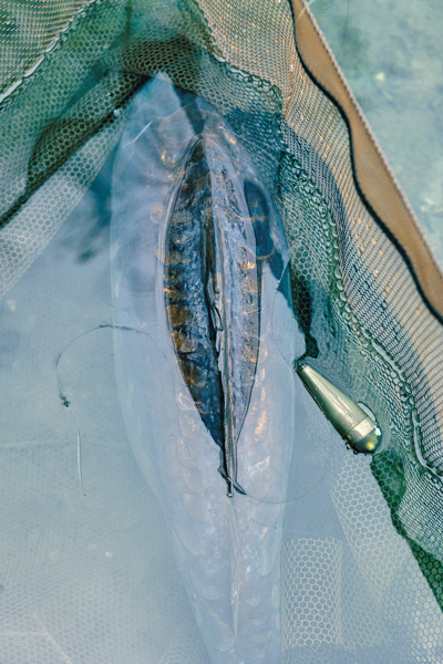 Sac de Pesée Trakker Flottant Sanctuary T1 XL Retention Sling (Occasion) - description 11