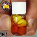 enterprise-tackle-soft-corn-floating-tackle-fonte-di-cibo-esche-essenziali-shellfish-b5-per-8