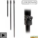 pique-avid-carp-lok-down-bankstick