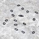 anneaux-extra-carp-oval-rig-rings-par-20