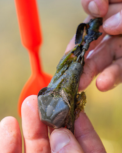 Plomb à Sonder Avid Carp Extremity Marker Lead - description 07
