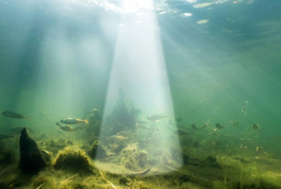 Sondeur GPS Deeper CHIRP 4+ - description 13