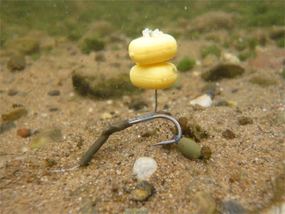 Gaine Thermo Rétractable Fox Edges Khaki M 2.4-0.8mm (par 10) -Fox || KORDA || Sonik Soldes d5ab92692d3c0a3ca24d4ce458a1cca9ed7cf5c6 231863AMB1