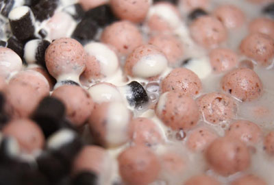 Attractant Mainline Smart Liquid Garlic 250ml - description 03