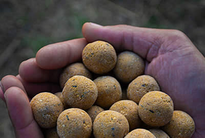 Bouillettes