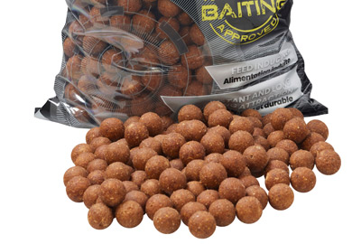 Boilies