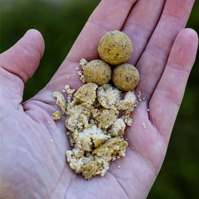 Bouillettes Radical Vampire Garlic 1kg 16mm -DYNAMITE BAITS fa66b6aa98d9b93270be5e2a08fbc6bfcfd1d2d9 241348amb2