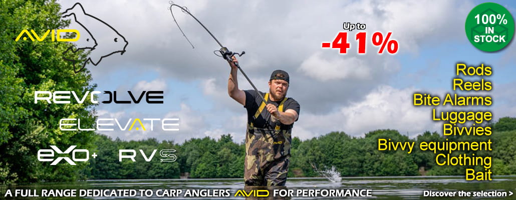 Avid Carp