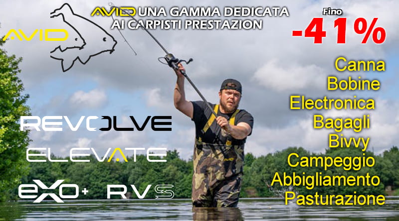 Affondatori Carpa Piccoli E Grandi Affondatori In Tungsteno ESP Per Pesca A Carpa - Piccoli O Grandi, Per Acqua Dolce, Nuovo Affondatori Pesca Affondatori Carpa Piccoli E Grandi Affondatori In Tungsteno ESP Per Pesca A Carpa - Piccoli O Grandi, Per Acqua Dolce, Nuovo Affondatori Pesca