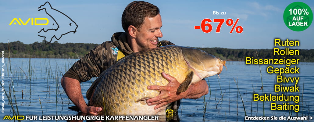 Avid Carp