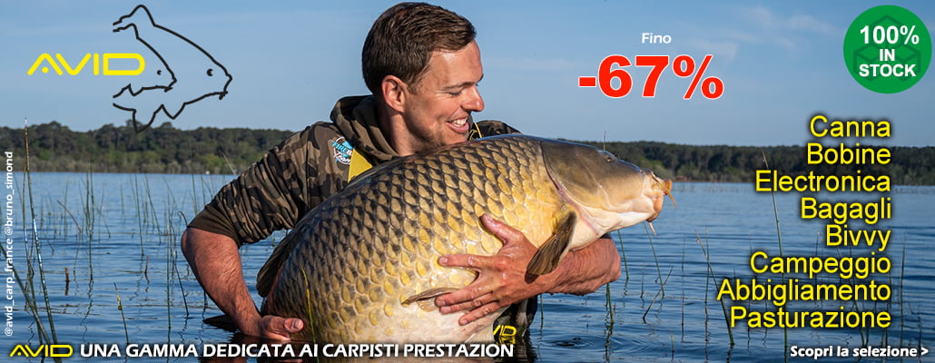 Avid Carp