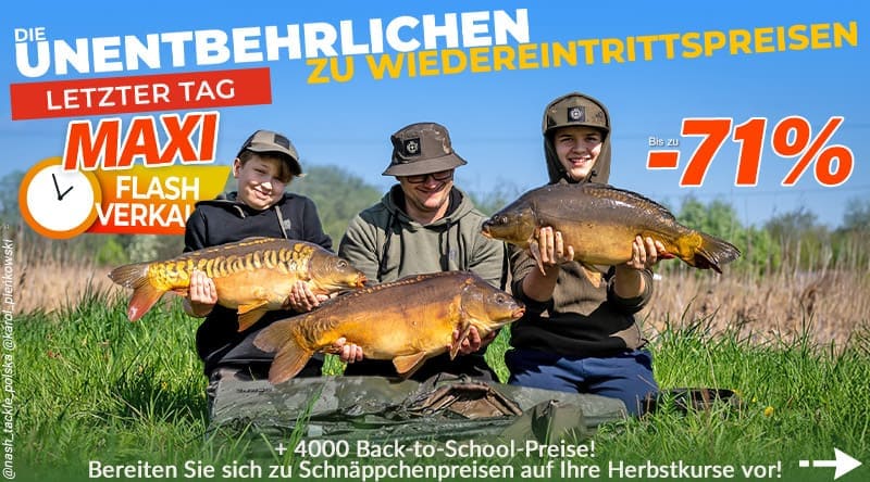 Für den Karpfen geht es zurück in die Schule