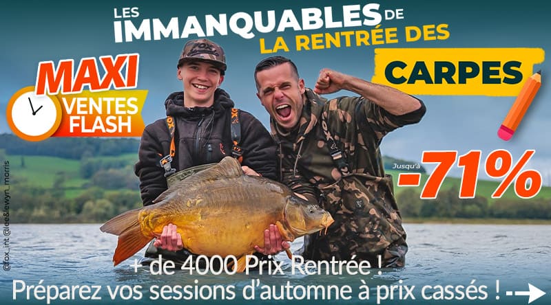 C'est la rentrée des carpes