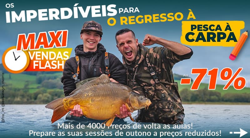 Está na hora de voltar à escola para as carpas