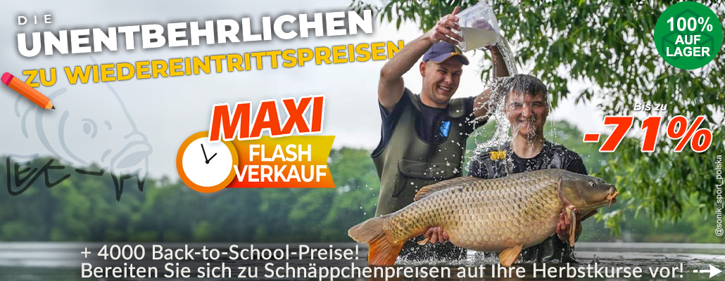 Für den Karpfen geht es zurück in die Schule