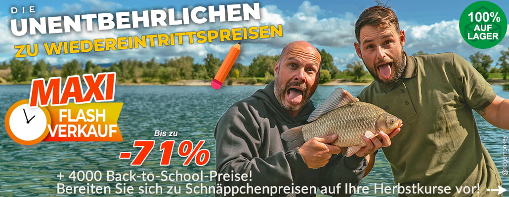 Für den Karpfen geht es zurück in die Schule