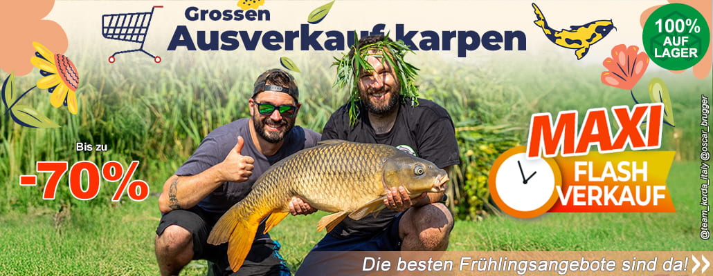 Groosen Ausverkauf karpen