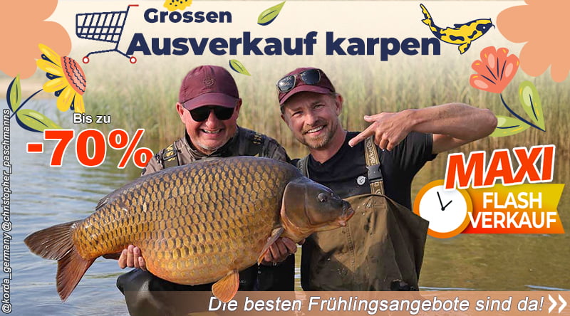 Groosen Ausverkauf karpen
