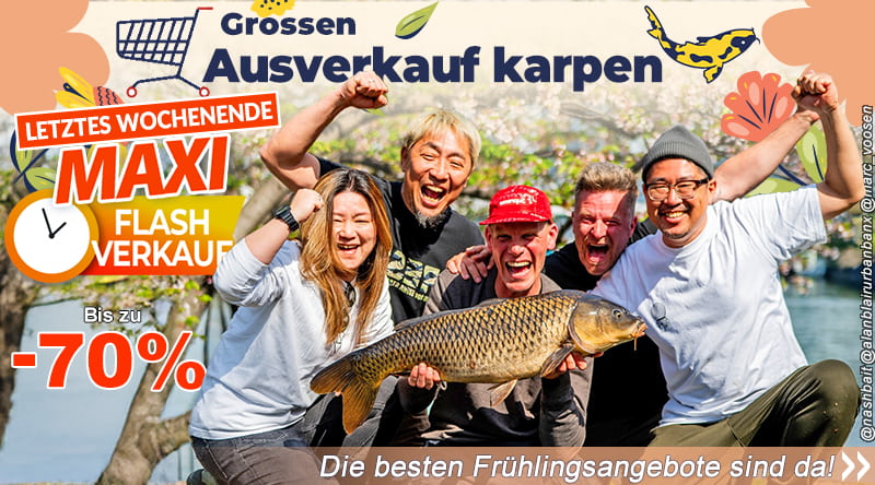 Groosen Ausverkauf karpen