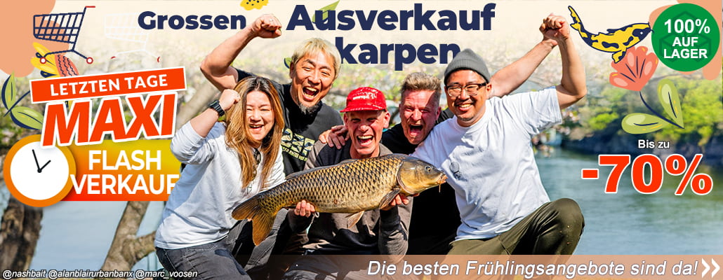 Groosen Ausverkauf karpen