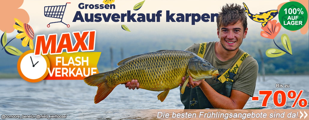 Groosen Ausverkauf karpen