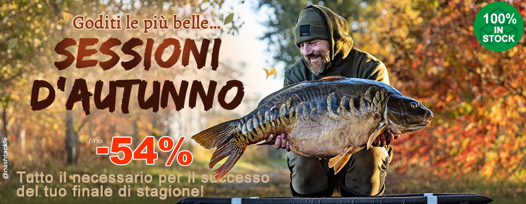 Sessions d'automne